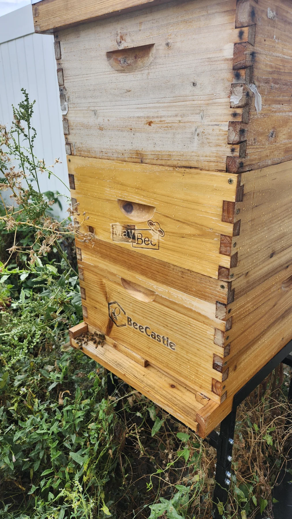 Hive 2