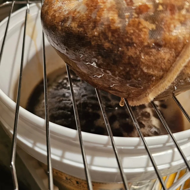 Apiary photo