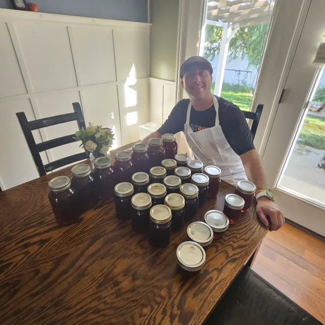 Apiary photo