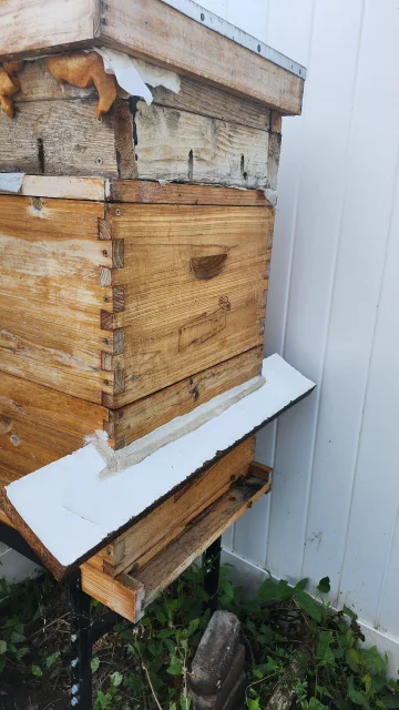 Hive 1